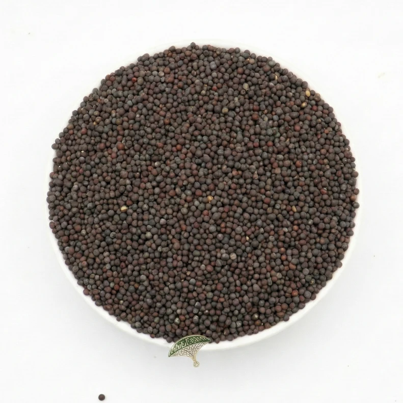 خردل حبوب اسود