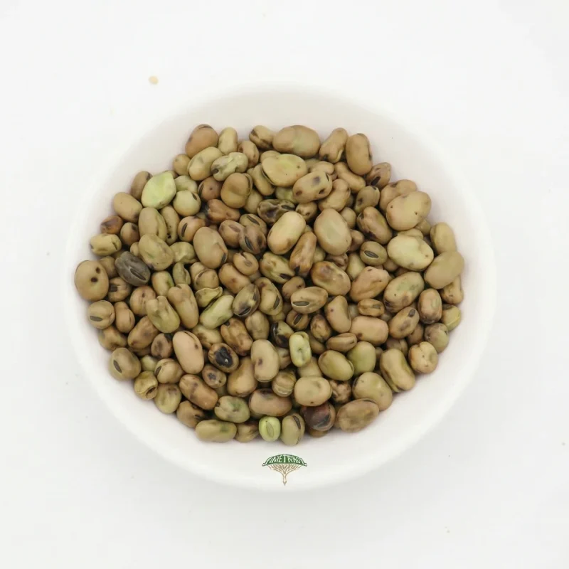 فول بلدي يمني حبة صغير