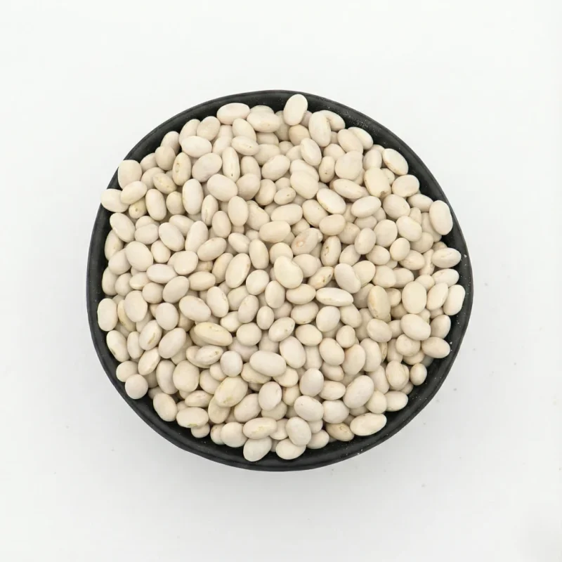 فاصوليا بيضاء صغير