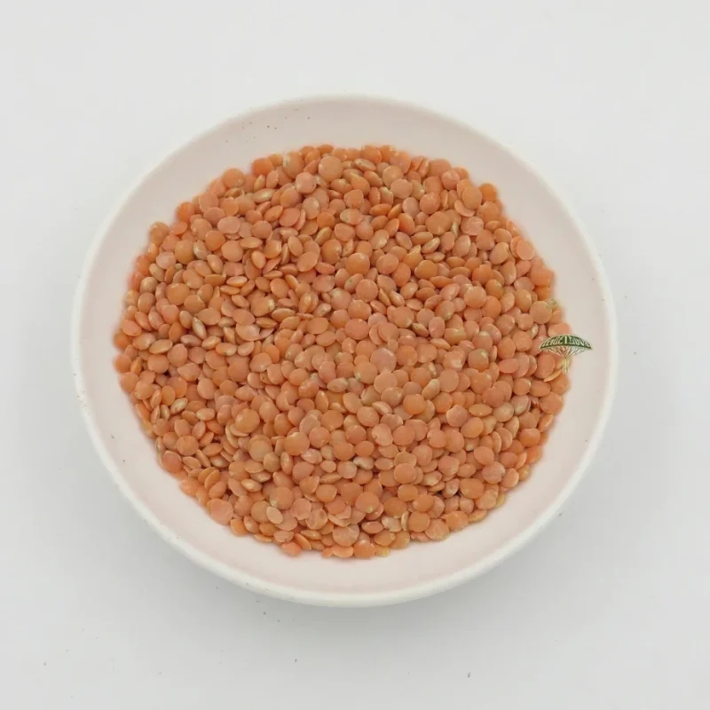عدس احمر حبوب
