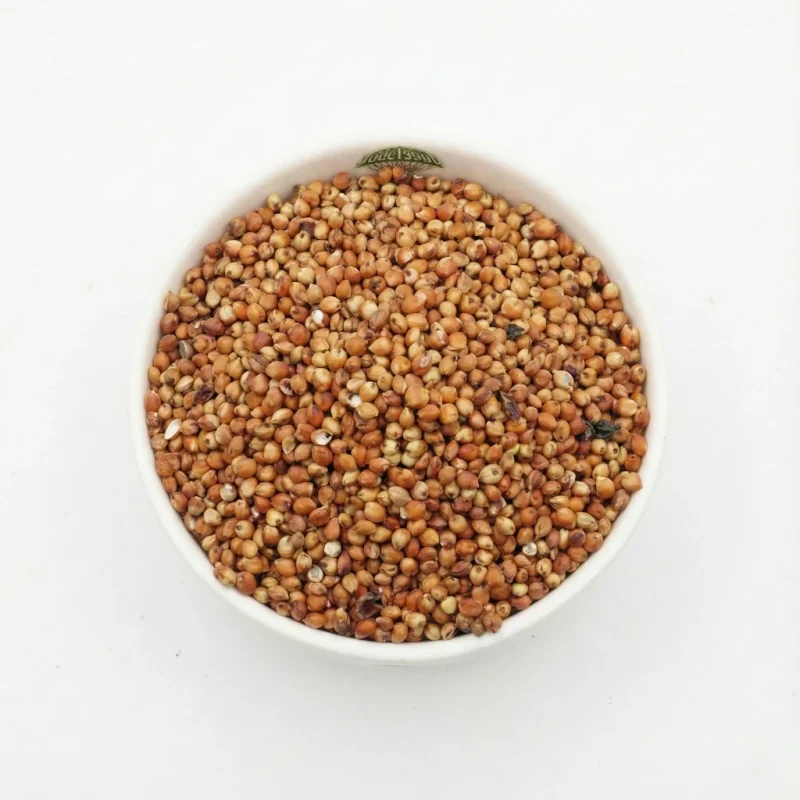 ذرة حمراء حبوب