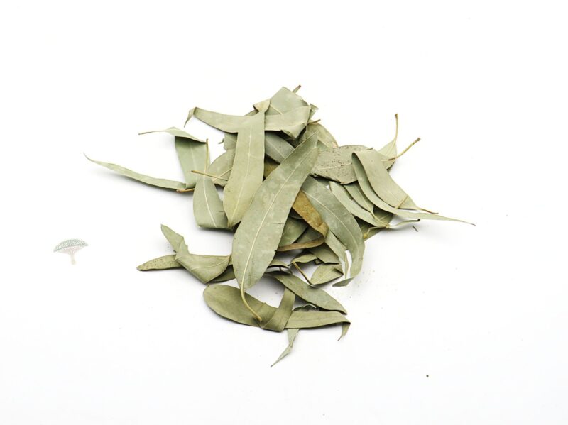 ورق الكافور