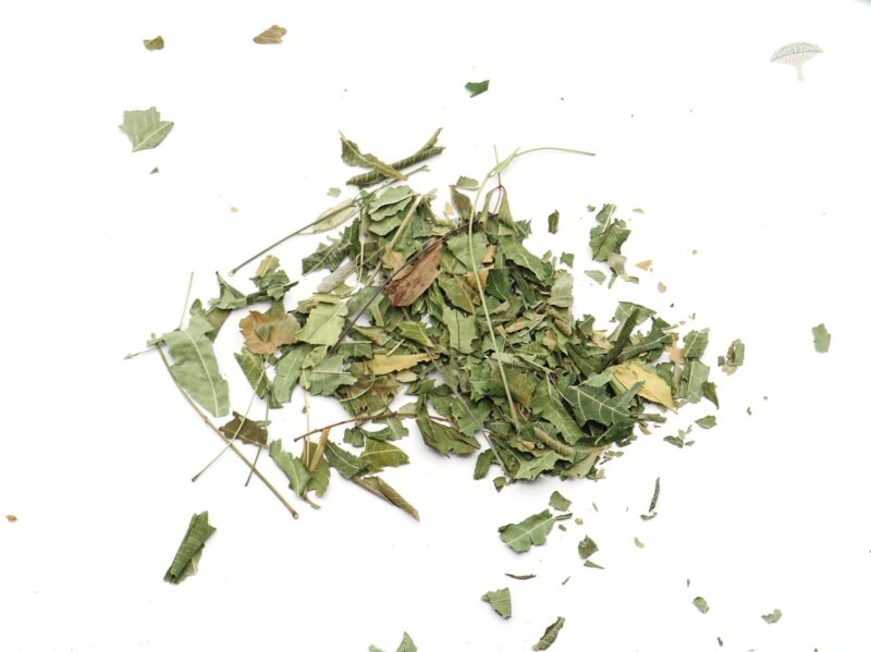 هندبا مريمرة