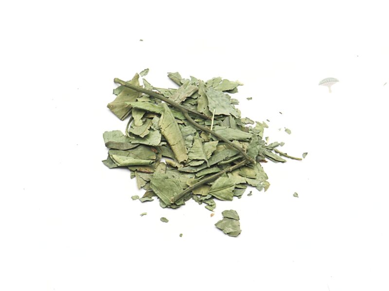 ورق الليمون